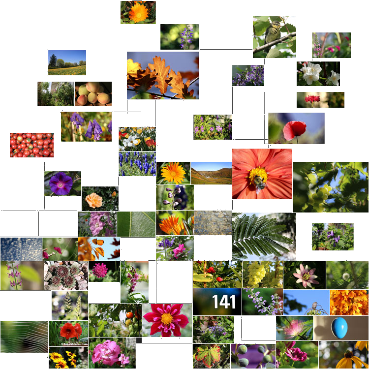 Motive einer Bildergalerie