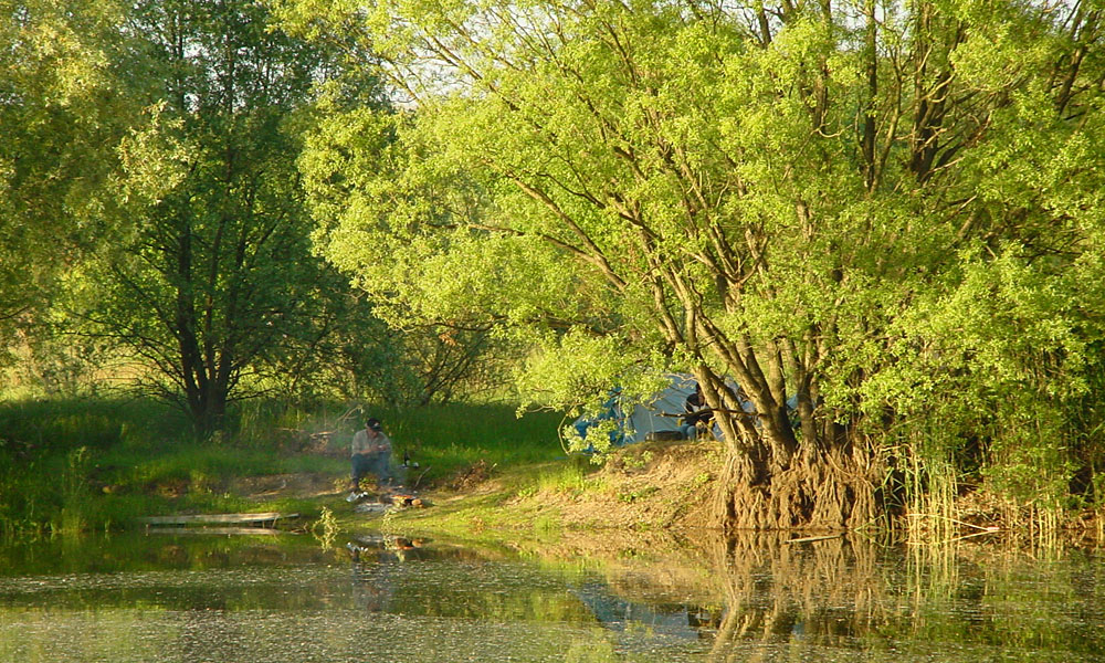 Lagerfeuer im Naturschutzgebiet